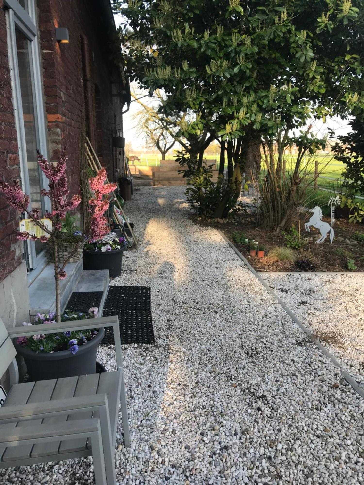 ريز Ks Kotten Bed And Breakfast المظهر الخارجي الصورة